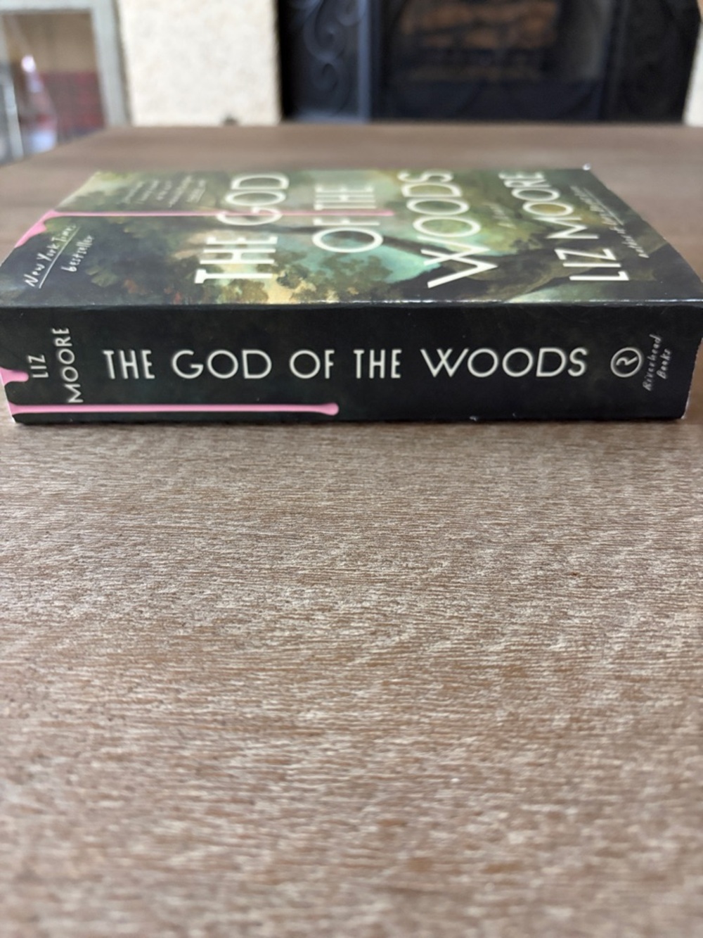The God of the Woods by Liz Moore - Paperback - Picture 8 of 8